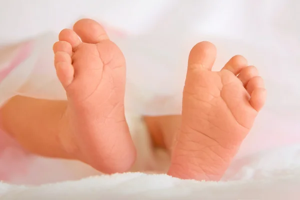 Pequenos pés de bebê recém-nascido — Fotografia de Stock