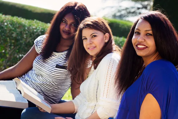 Ragazze che studiano le loro Bibbie al Parco — Foto Stock