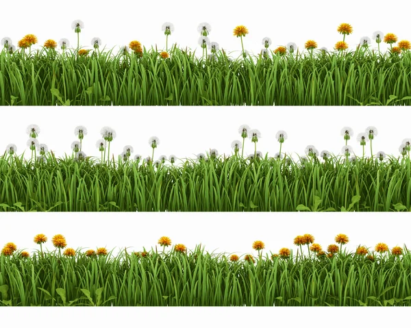 Grass with dandelions — Stock Photo, Image