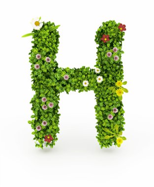 yeşil çim h harfi