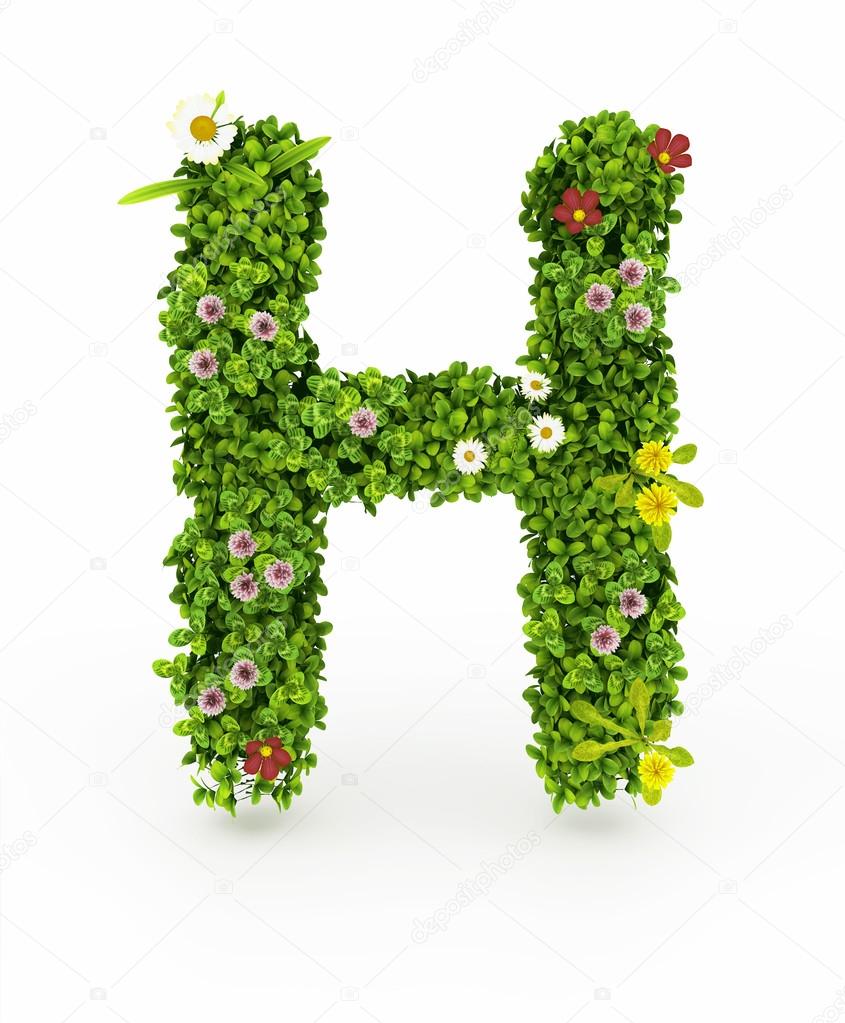 Green Grass Letter H Stock Photo by ©ignatyeva 23389016