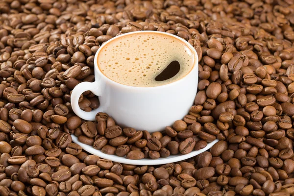 Kopp i kaffebönor — Stockfoto