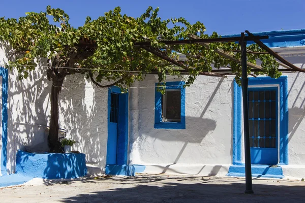 Pittoreske Griekse huis met wijnstokken — Stockfoto