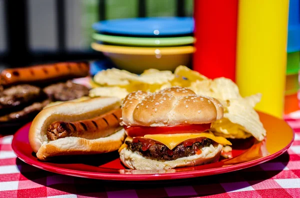 Cookout — Stock Photo, Image