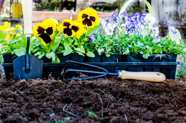 Jardinería de primavera — Foto de Stock