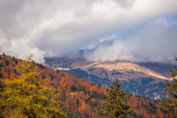 Fjället höst landskap med färgglada skog — Stockfoto