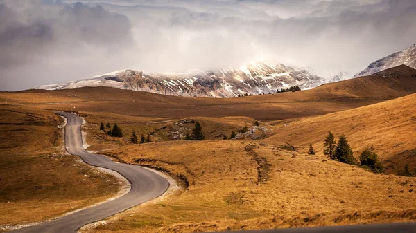 Romanya, transbucegi'nın yüksek dağlarında kavisli asfalt yol — Stok fotoğraf