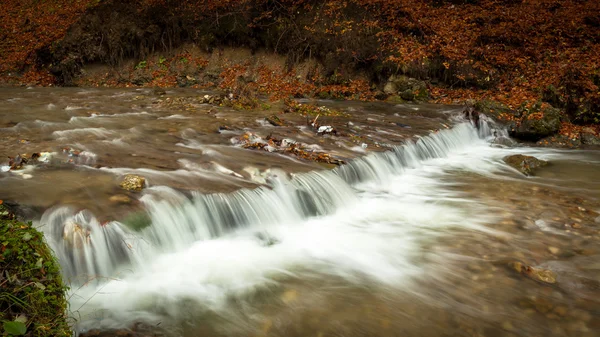 Autunno boschi torrente con alberi gialli fogliame e rocce nella foresta — Foto Stock