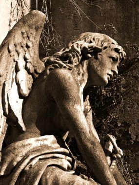 Angel la recoleta mezarlığı, uyku