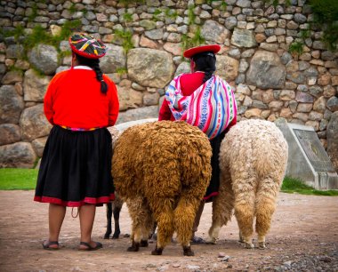 Perulu kız ve alpaka, sacsayhuaman, cusco, peru