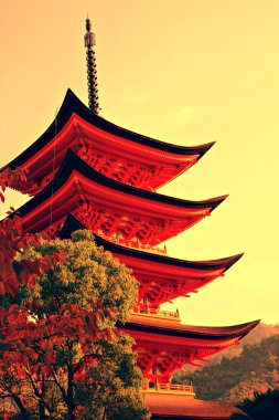 beş katlı pagoda miyajima içinde Japonya