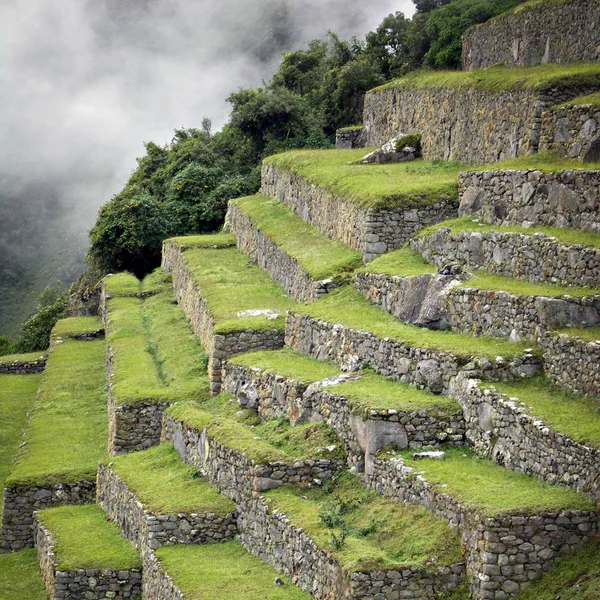 Inkaleden till machu picchu i peru — Stockfoto