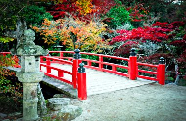 miyajima Japonya Köprüsü ve sonbahar renkleri