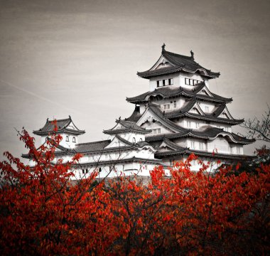 Himeji Kalesi