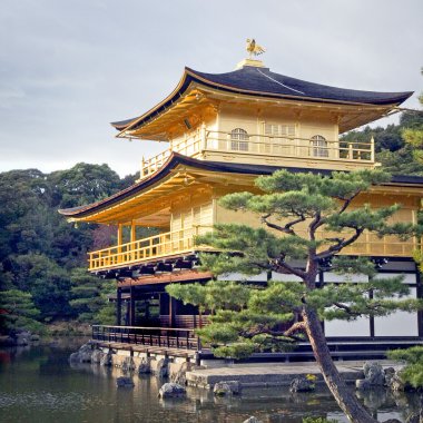 kyoto Japonya'da altın köşk