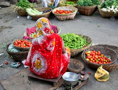 Udaipur, Hindistan pazarı