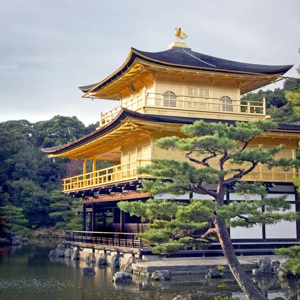 Kyoto Japonya'da altın köşk — Stok fotoğraf