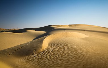 Thar Çölü, rajasthan Hindistan