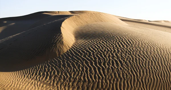 Пустыня Тар, Индия — стоковое фото