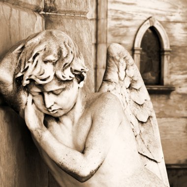 Angel la recoleta mezarlığı, uyku