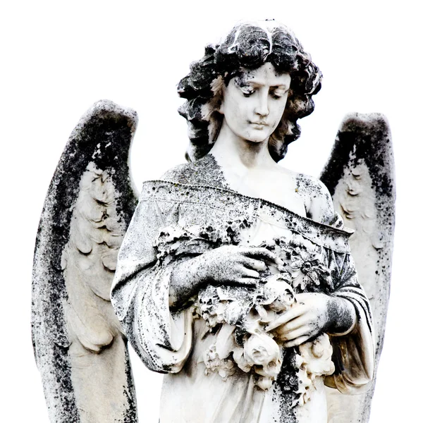 Ангел на кладбище Ла-Реколета в Буэнос-Айресе — стоковое фото