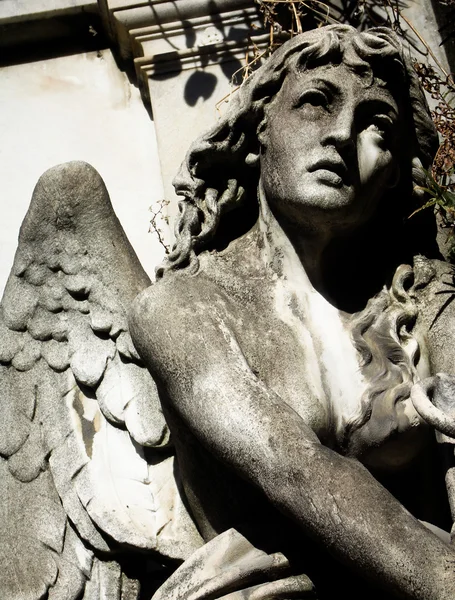 Angel at La Recoleta Cemetery in Buenos Aires — Stock Photo, Image