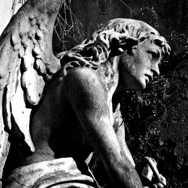 Angel at La Recoleta Cemetery in Buenos Aires — Stock Photo, Image