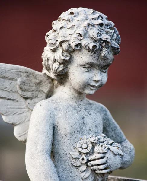 Nádherná socha na hřbitově melbourne — Stock fotografie