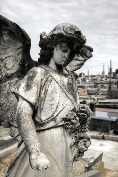 Angel at La Recoleta Cemetery in Buenos Aires — Stock Photo, Image