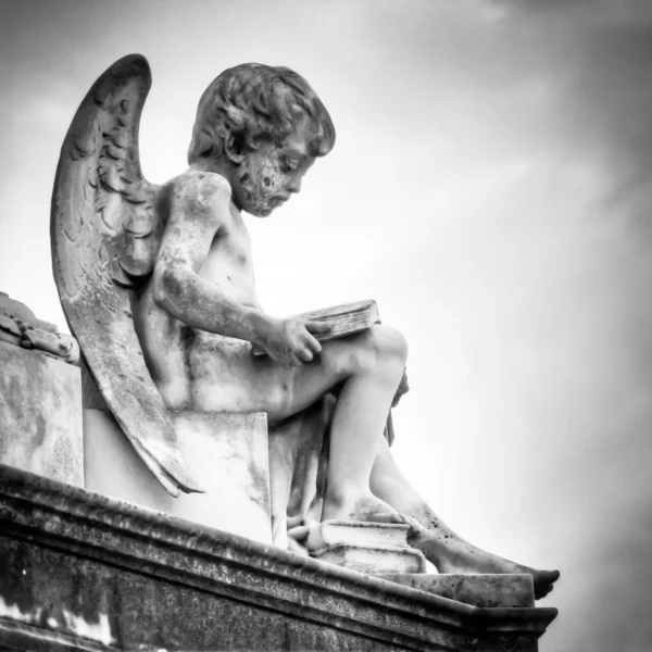 Ange au cimetière La Recoleta à Buenos Aires — Photo