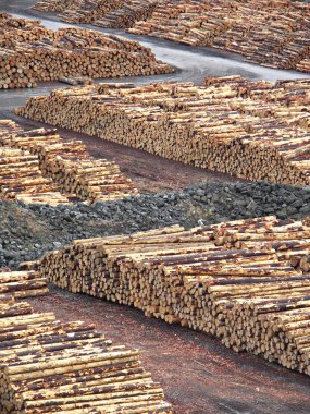 Stacked Logs clipart