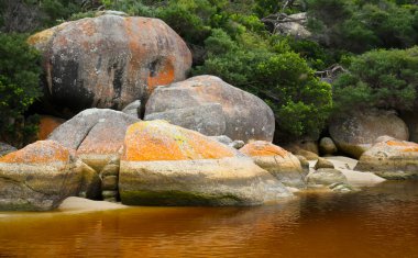 Wilsons Promontory