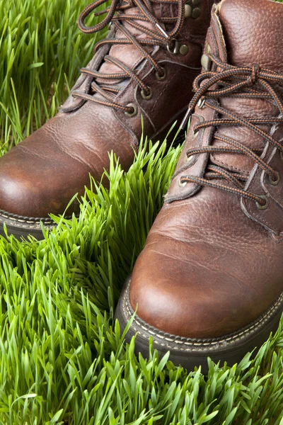 Primer plano de las botas en la hierba verde exuberante —  Fotos de Stock