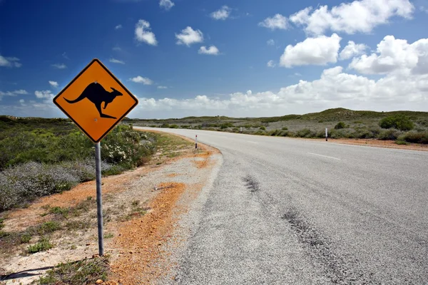 カンガルーの道路標識 — ストック写真