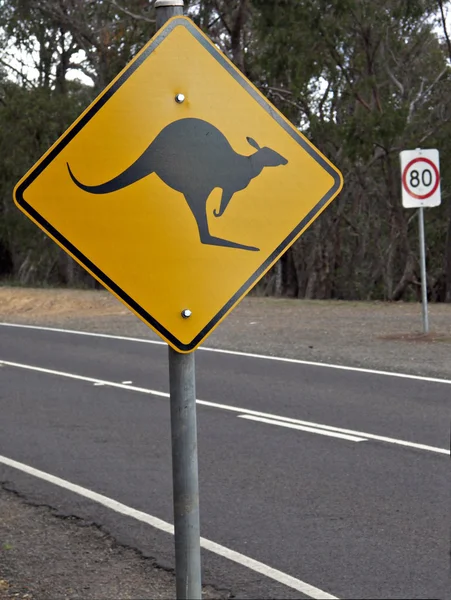 Kanguru yol levhası — Stok fotoğraf