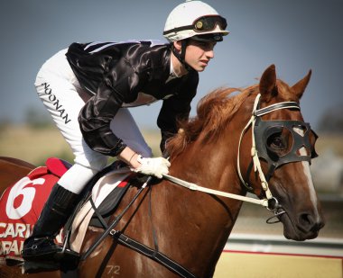 Melbourne - 21 Şubat: önce ritchies topluluklar başlangıç tabağı, kuantum tarafından kazandı faydaları sadece elvis ateş at yarra glen üzerinde 21 Şubat 2010 near melbourne, Avustralya.