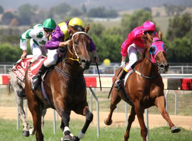 MELBOURNE - FEBRUARY 21: Sensational News is ridden to the line to finish a close second to Madam Melba in the Windy Peak Maiden at Yarra Glen on February 21, 2010 near Melbourne, Australia. clipart
