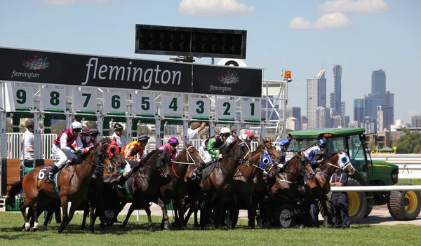 MELBOURNE - MARÇO 13: Os cavalos saltam das barracas iniciais da Roy Higgins Quality, vencida por Elmore em Flemington em 13 de março de 2010 - Melbourne, Austrália . — Fotografia de Stock