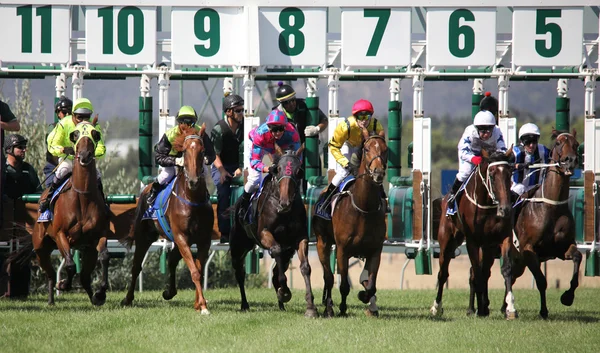 Carreras de caballos —  Fotos de Stock