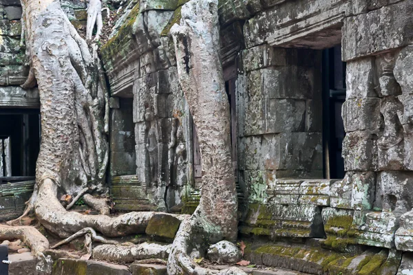 Tempels van angkor — Stockfoto