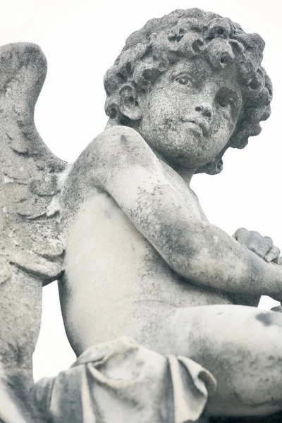 Hermosa escultura en un cementerio en Melbourne Australia —  Fotos de Stock