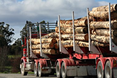 Logging Truck - Tasmania clipart