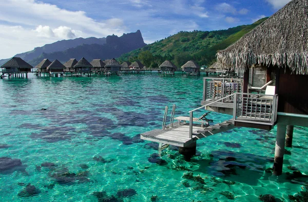 overwater Bungalow Fransızca Polinezyası