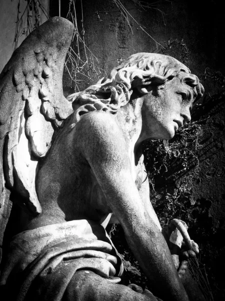 buenos Aires'teki la recoleta mezarlığı, melek