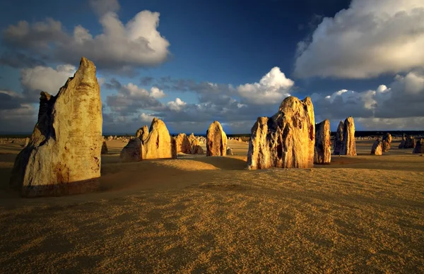 Pinakels op numbung nationaal park - West-Australië — Stockfoto