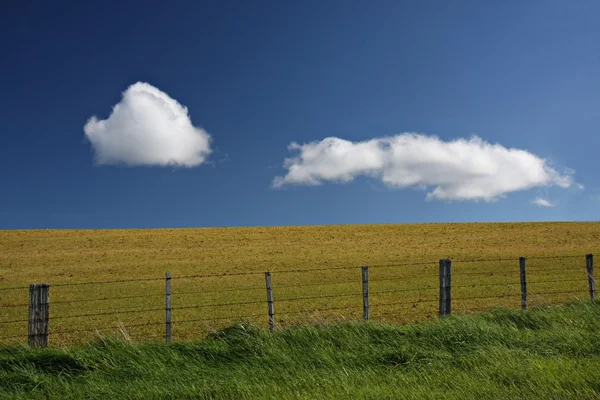 Nubes en un cielo azul sobre un pasto verde y amarillo —  Fotos de Stock