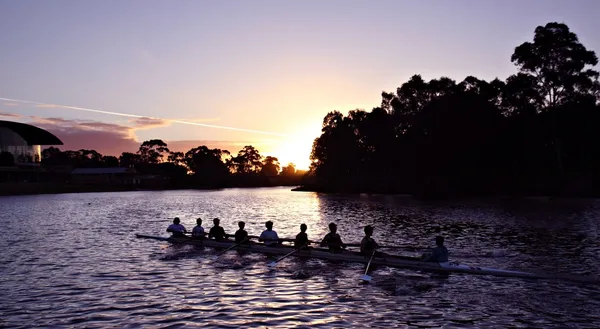 Remadores ao pôr do sol no rio Torrens de Adelaide Fotografia De Stock