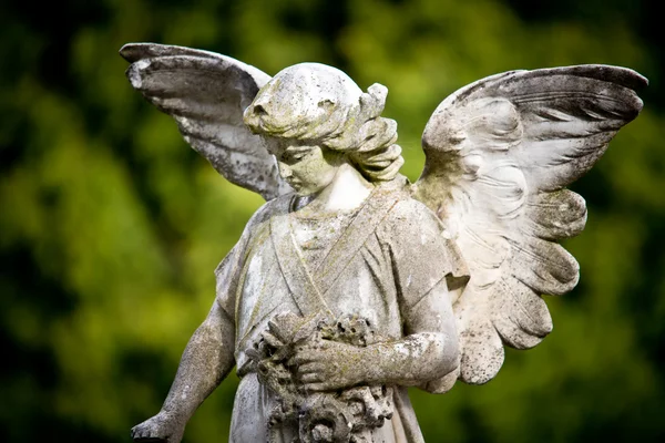Nádherná socha na hřbitově melbourne — Stock fotografie