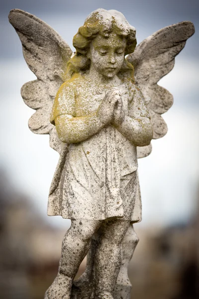 Hermosa escultura en un cementerio de Melbourne — Foto de Stock