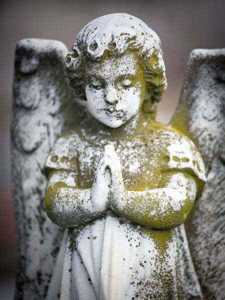 Schöne Skulptur auf einem Friedhof in Melbourne — Stockfoto